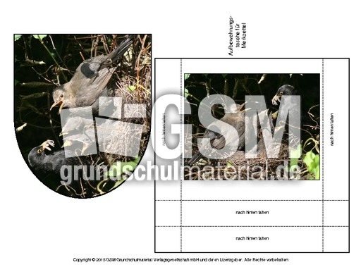 Amsel-Merkzettel-4.pdf